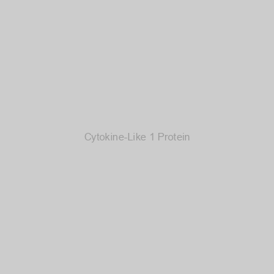Cytokine-Like 1 Protein